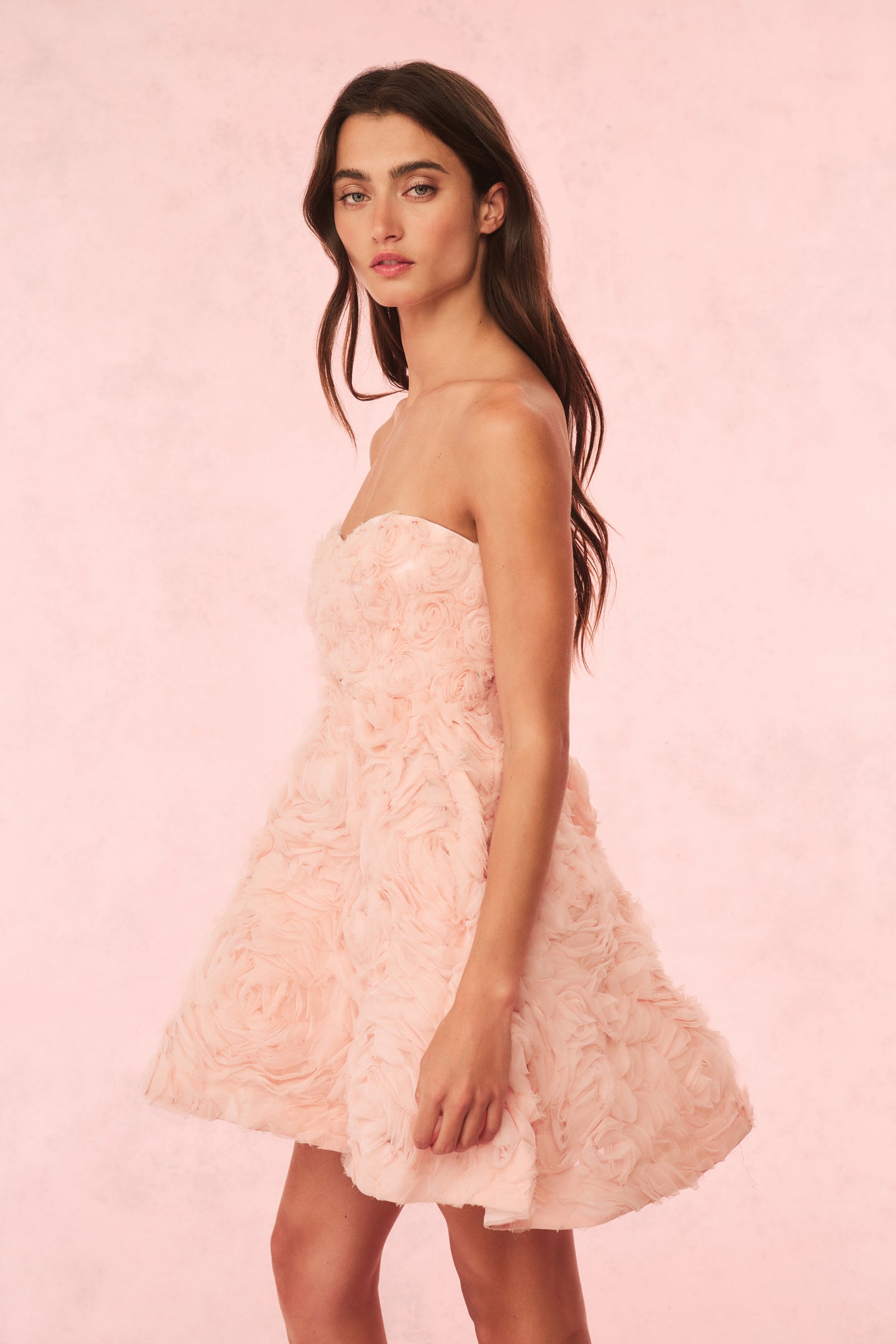 Bellamina Organza Rose Mini Dress